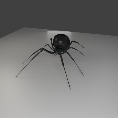 Black Widow Spider Cycles preview image